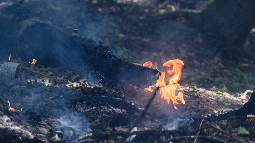 Bad Soden Brandgefahr wächst Verbrennen von Gartenabfällen verboten