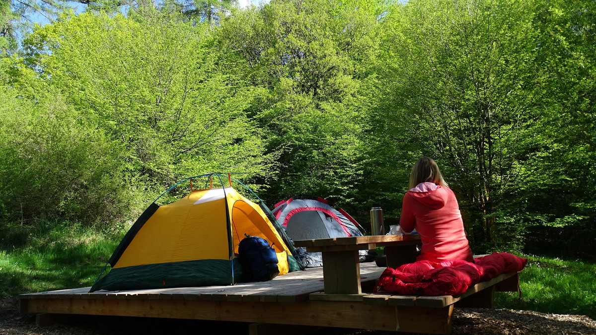 schlafsack grad Schlafsack 3-Jahreszeiten Ultraleicht, Kleines Packma, Camping  NORDBR