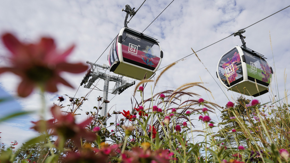 BUGA 2023 als TopReiseziel Endspurt bei Bundesgartenschau Mannheim