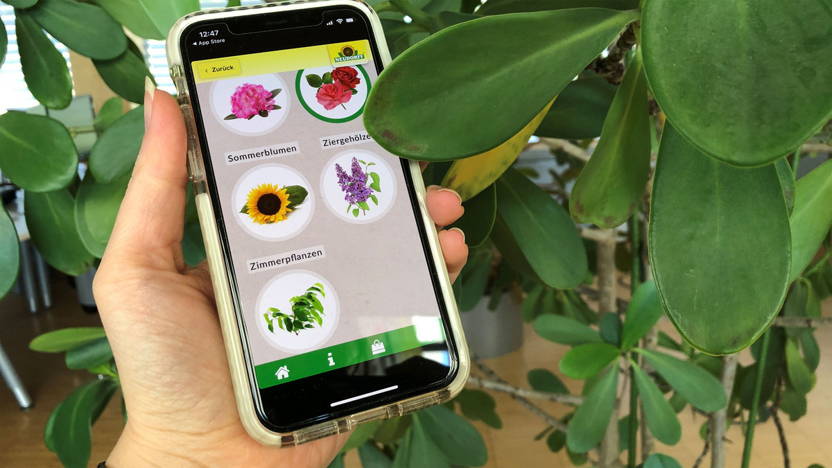 Praktische Garten-Apps fr Einsteiger und Profis