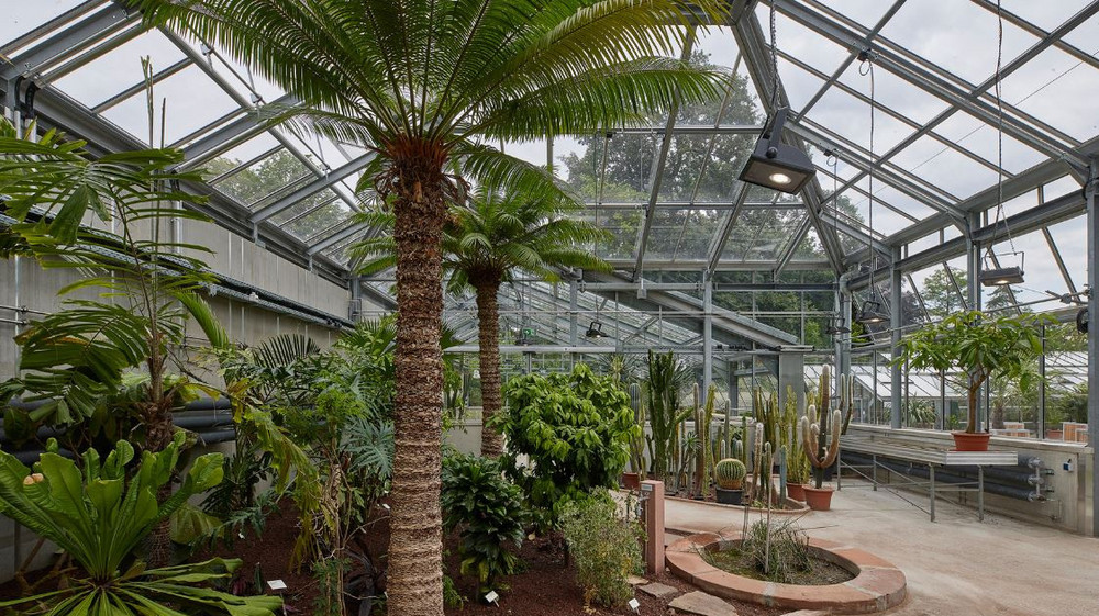 Botanischer Garten in Gießen neue Gewächshäuser
