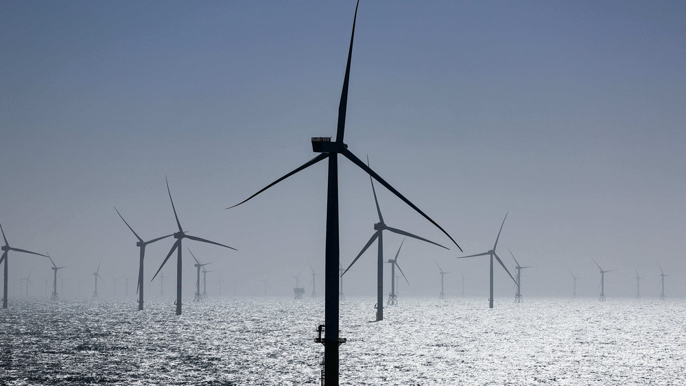 Windkraft Debakel! Auktion Für Neue Offshore Windparks Gescheitert – So Reagiert Die Wirtschaft! - tymhwkj