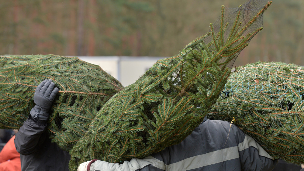 WeihnachtsbaumDiebe schlagen mehrfach im RheinNeckarRaum zu