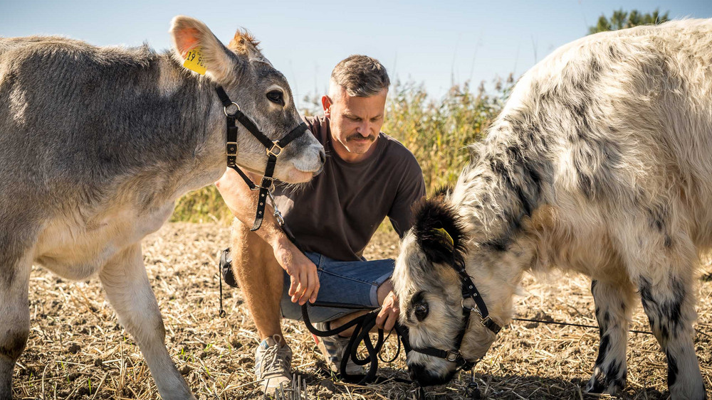Silvia am Sonntag - der Talk mit \