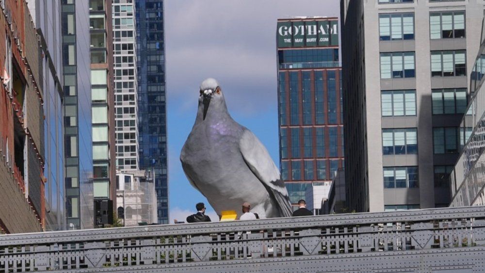 Übergroße Taube nimmt New York City ein