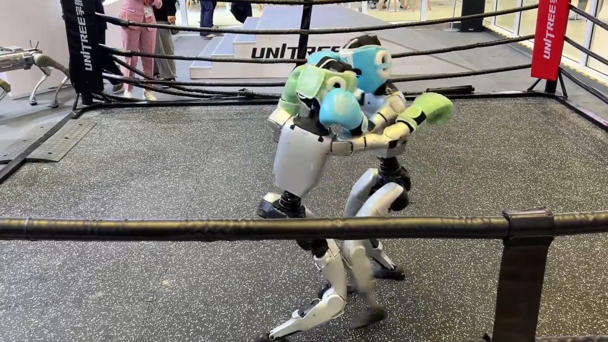 Besonderes Box-Duell: KI-gesteuerte Roboter kämpfen in Shanghai
