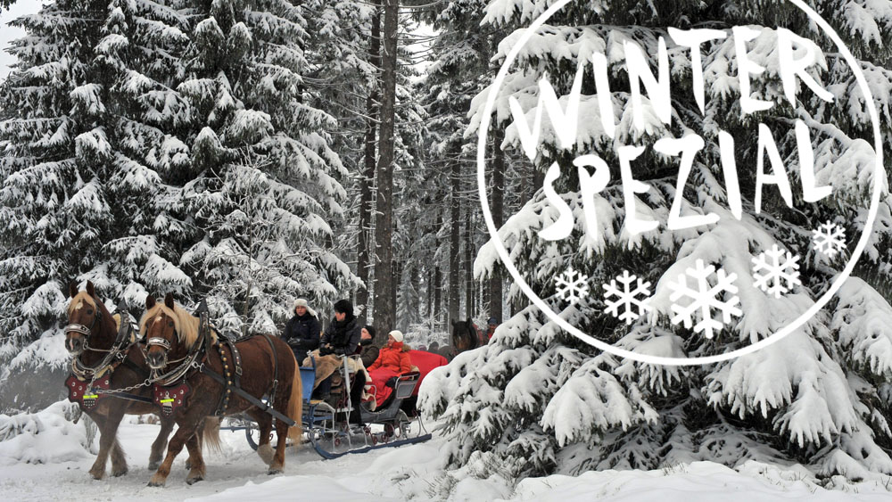 Durch Den Winterwald Saust Der Pferdeschlitten Schnell Lied Mit dem Pferdeschlitten durch den Knüll